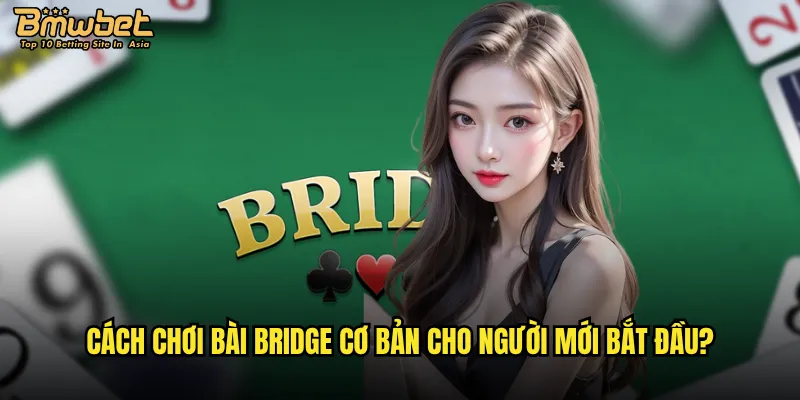 Cách chơi bài Bridge cơ bản cho người mới bắt đầu?