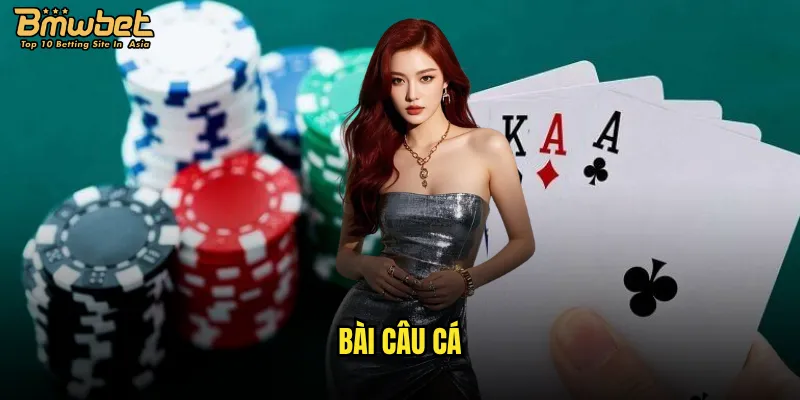 bài câu cá