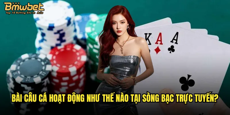 Bài câu cá hoạt động như thế nào tại sòng bạc trực tuyến?